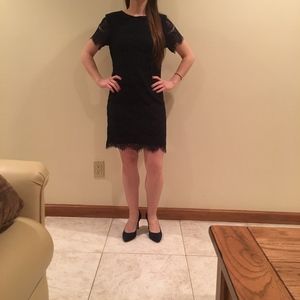 Navy Blue Lace Dress